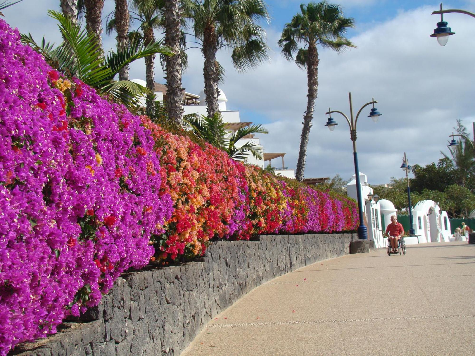 Nala Und Bergblick Mit Eigenem Pool, Ruhige Und Lage, Alles Zufuss Erreichbar Playa Blanca (Lanzarote)