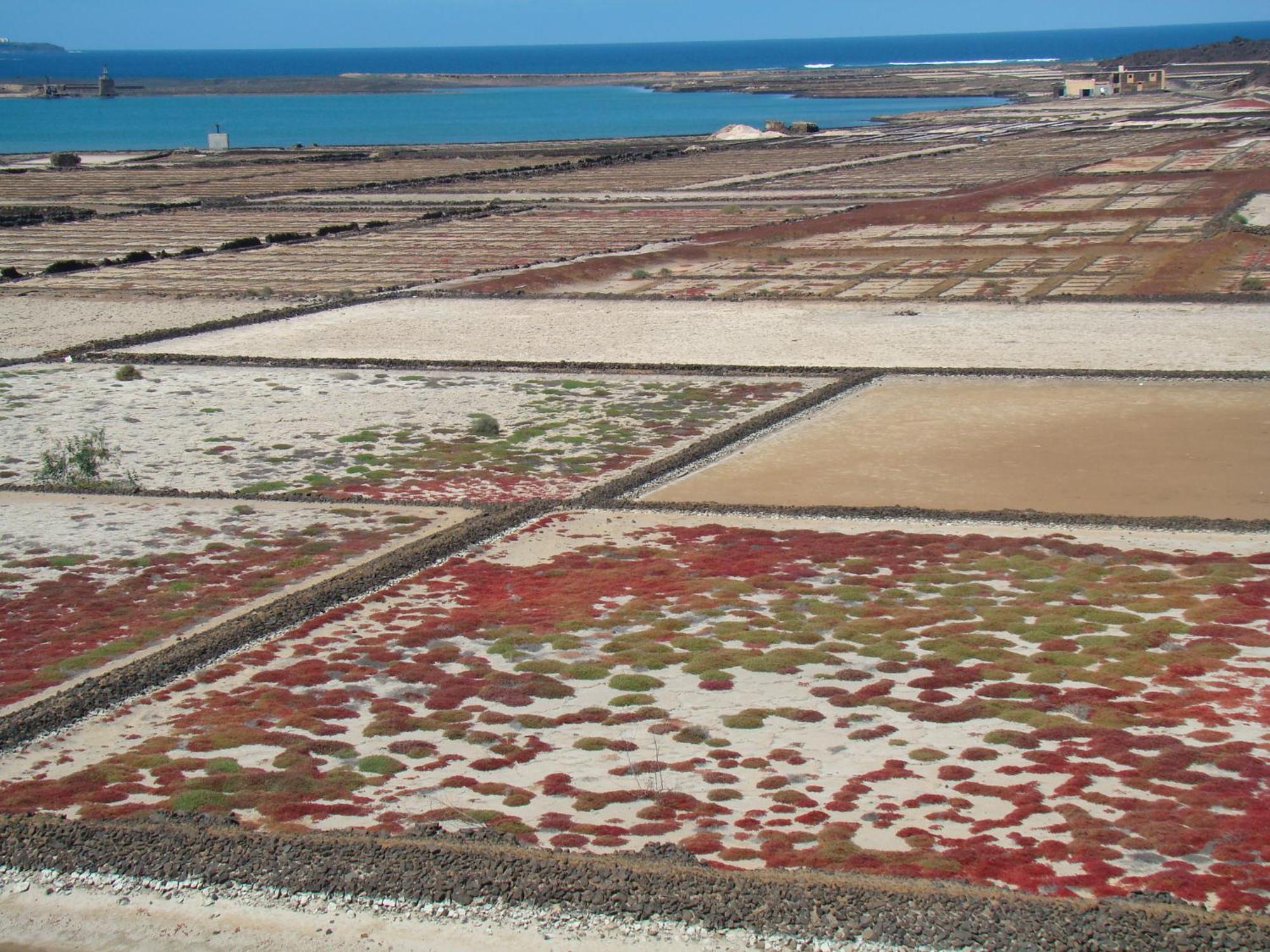 Nala Und Bergblick Mit Eigenem Pool, Ruhige Und Lage, Alles Zufuss Erreichbar Playa Blanca (Lanzarote)